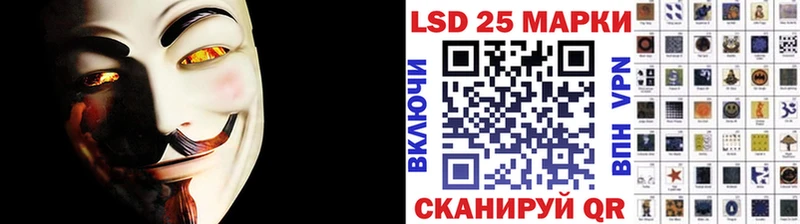 дарнет шоп Питкяранта Марки N-bome 1,5мг
